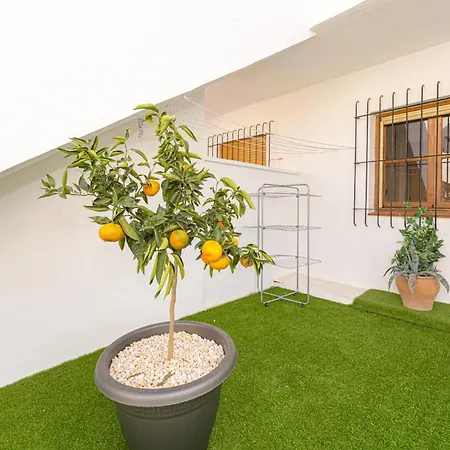 Appartement Jardin 84 *